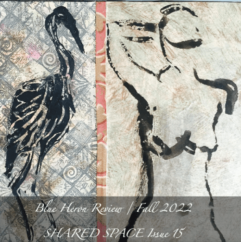 FINAL BHR 15 Cover Design