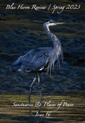 BHR16 Cover Image Edit2