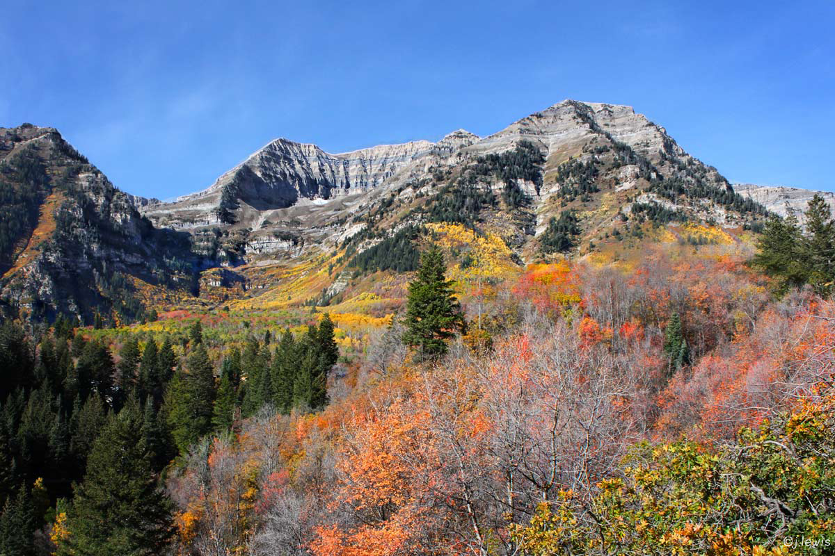 Timpanogas copy