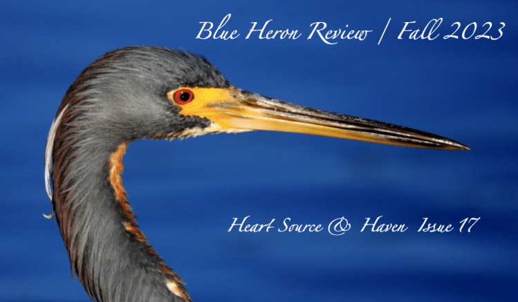 BHR 17 cover draft2 image